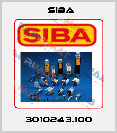 3010243.100 Siba