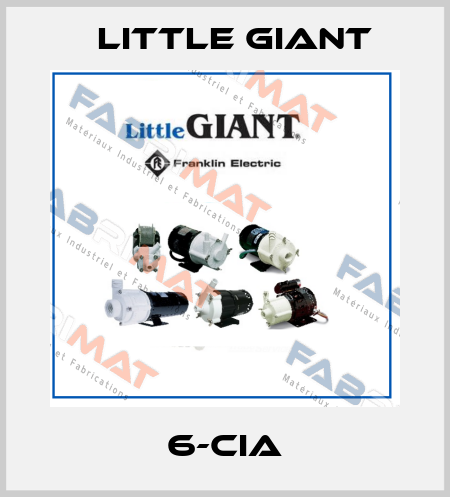 6-CIA Little Giant