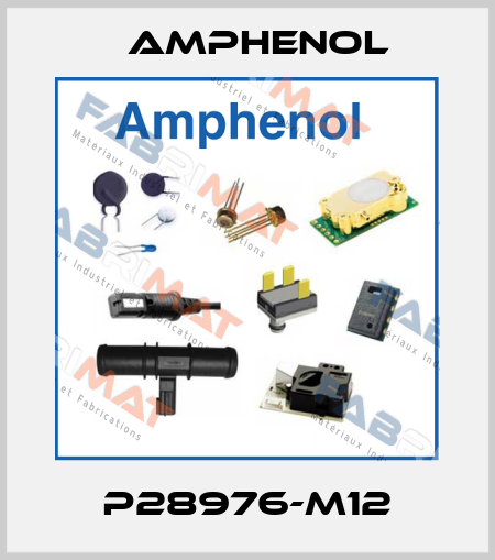 P28976-M12 Amphenol