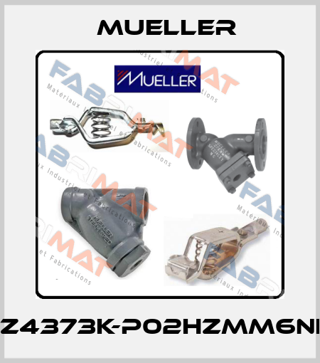 D662Z4373K-P02HZMM6NEC5-C Mueller