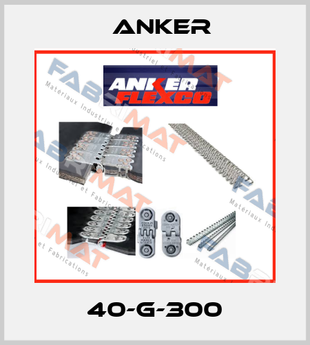 40-G-300 Anker