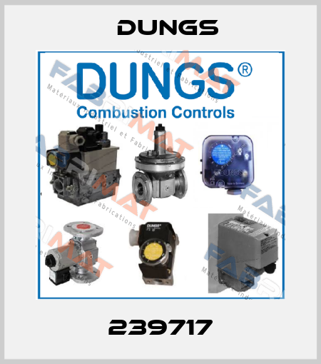 239717 Dungs