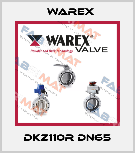 DKZ110R DN65 Warex
