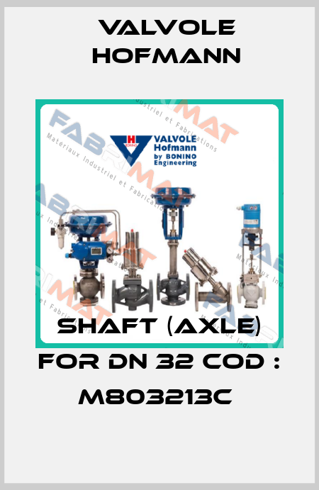 SHAFT (AXLE) FOR DN 32 COD : M803213C  Valvole Hofmann
