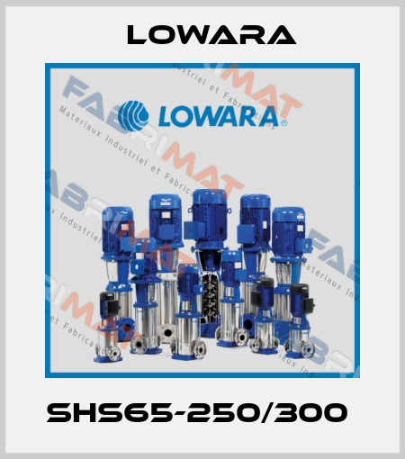 SHS65-250/300  Lowara