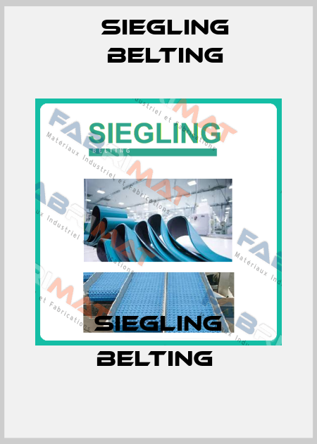 SIEGLING BELTING  Siegling Belting
