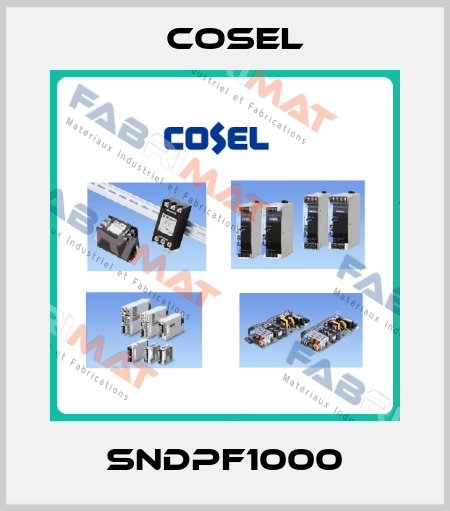 SNDPF1000 Cosel