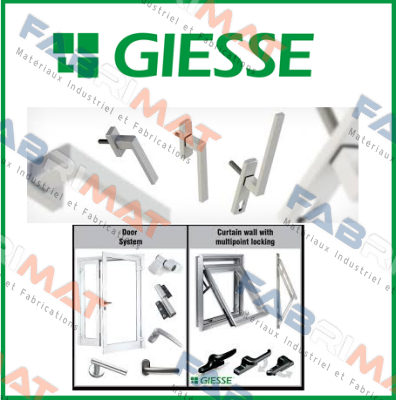 011702 GIESSE