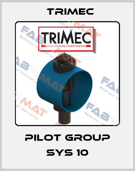 Pilot group sys 10 Trimec