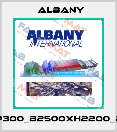 RP300_B2500xH2200_RH Albany
