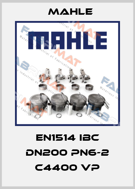 EN1514 IBC DN200 PN6-2 C4400 VP MAHLE