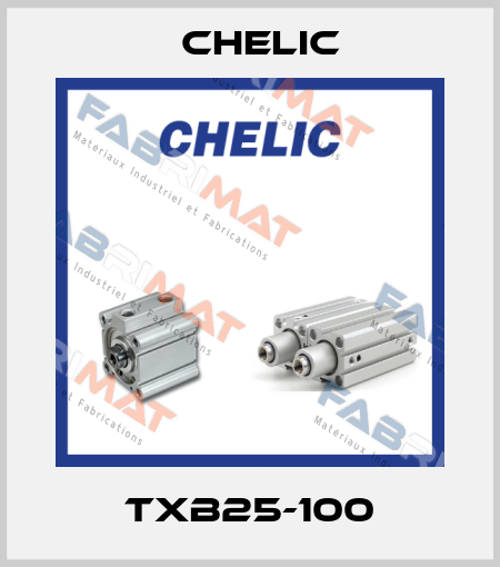 TXB25-100 Chelic