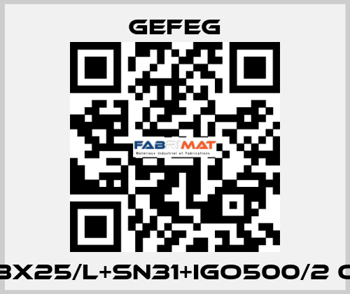 M63x25/l+sn31+igo500/2 OEM Gefeg