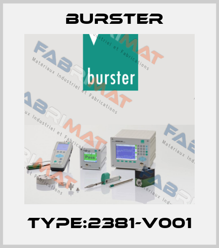 Type:2381-V001 Burster