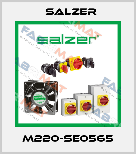 M220-SE0565 Salzer