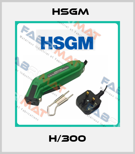 H/300 HSGM
