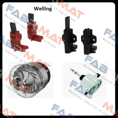 ZKFP-17-8-1L Guangdong Welling Motor