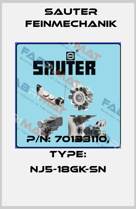 p/n: 70133110, Type: NJ5-18GK-SN Sauter Feinmechanik