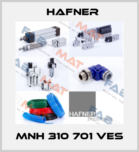 MNH 310 701 VES Hafner