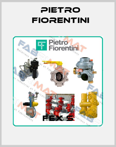 FEX S Pietro Fiorentini
