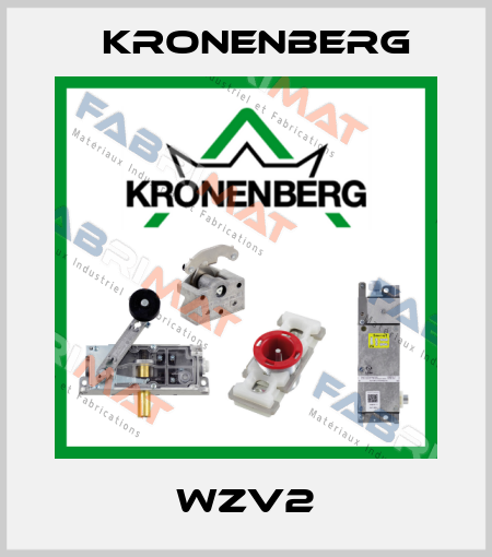 WZV2 Kronenberg