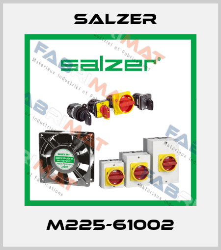 M225-61002 Salzer