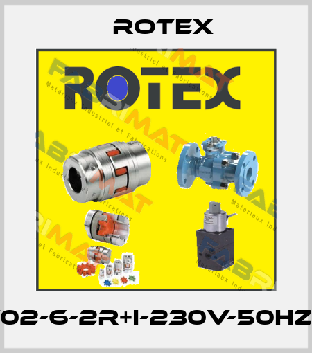 57450V02-6-2R+I-230V-50HZ-37-H-01 Rotex