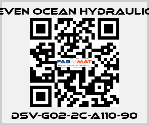 DSV-G02-2C-A110-90 Seven Ocean Hydraulics