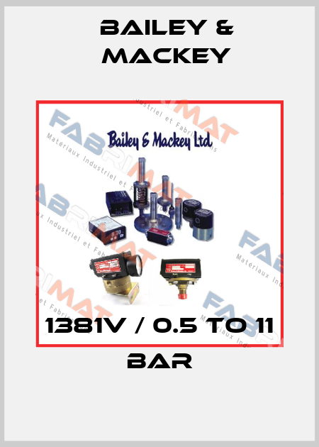1381V / 0.5 to 11 bar Bailey & Mackey