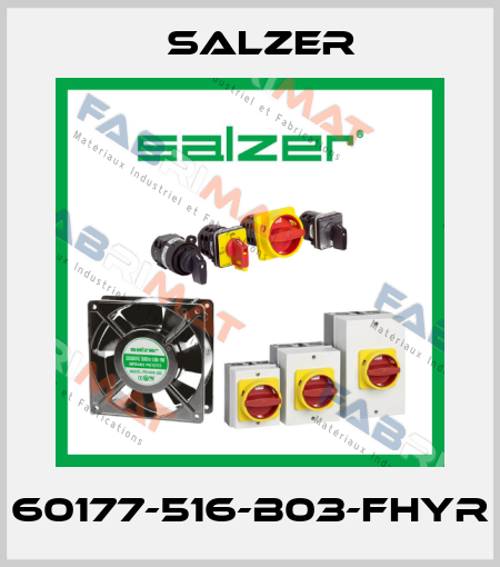 60177-516-B03-FHYR Salzer