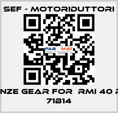 bronze gear for  RMI 40 P 1/ 7 71B14 SEF - MOTORIDUTTORI