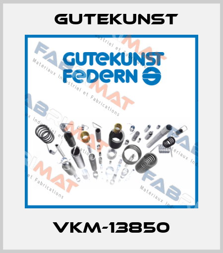 VKM-13850 Gutekunst