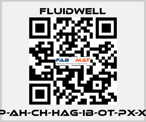 E110-P-AH-CH-HAG-IB-OT-PX-XD-ZB Fluidwell