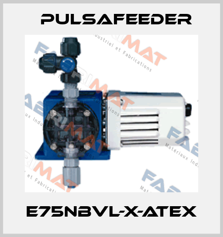 E75NBVL-X-ATEX Pulsafeeder