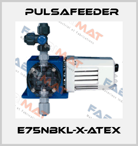 E75NBKL-X-ATEX Pulsafeeder