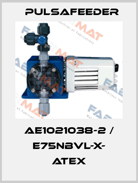 AE1021038-2 / E75NBVL-X- ATEX Pulsafeeder