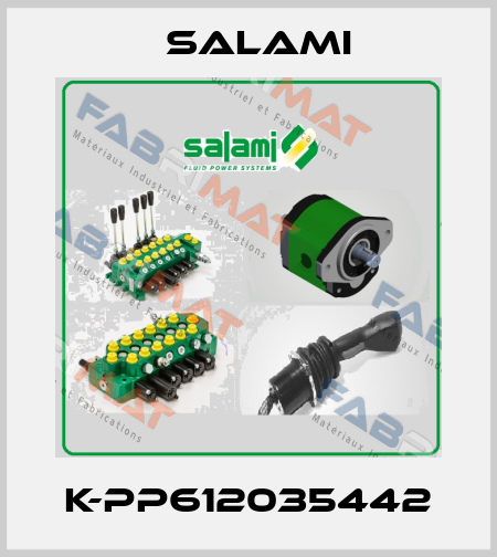 K-PP612035442 Salami