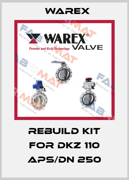 Rebuild kit for DKZ 110 APS/DN 250 Warex