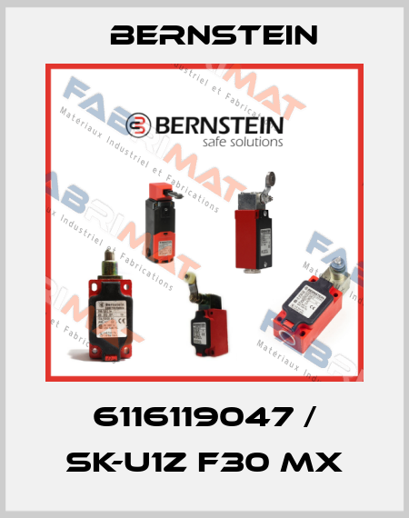6116119047 / SK-U1Z F30 MX Bernstein