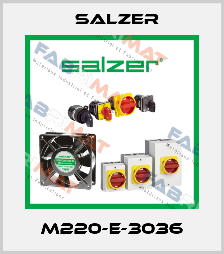 M220-E-3036 Salzer