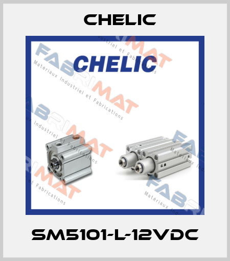 SM5101-L-12VDC Chelic