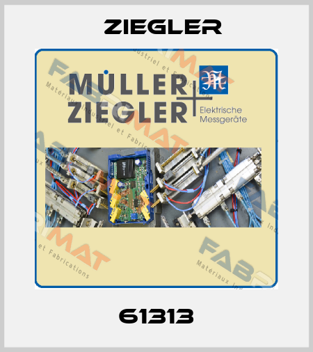 61313 Ziegler