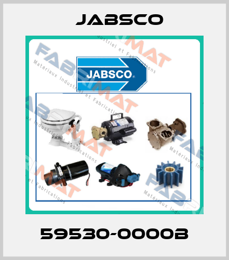 59530-0000B Jabsco
