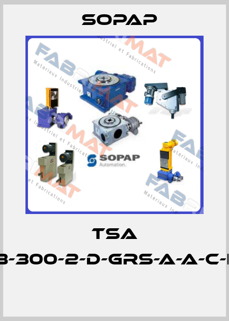 TSA 400-8-300-2-D-GRS-A-A-C-E-17-E  Sopap