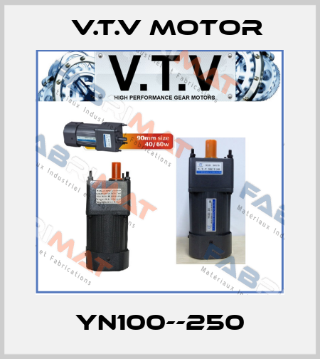 YN100--250 V.t.v Motor