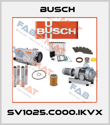 SV1025.C000.IKVX Busch