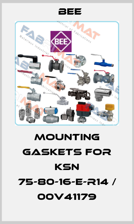 mounting gaskets for KSN 75-80-16-E-R14 / 00V41179 BEE