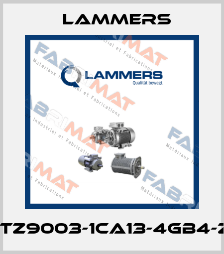 1TZ9003-1CA13-4GB4-Z Lammers