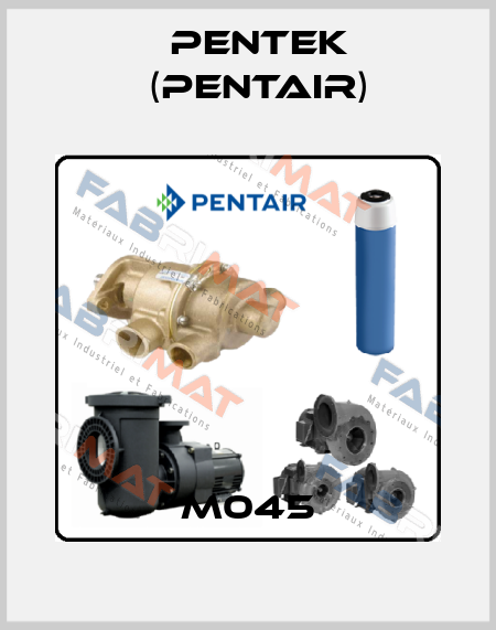 M045 Pentek (Pentair)