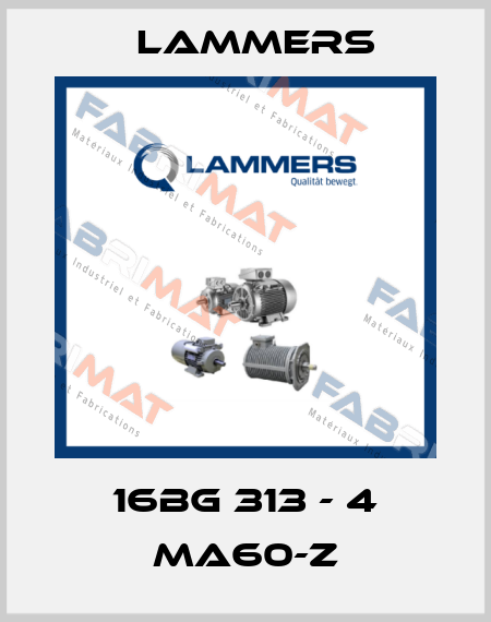 16BG 313 - 4 MA60-Z Lammers
